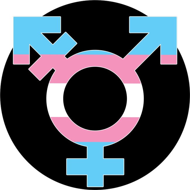 Watch Trans